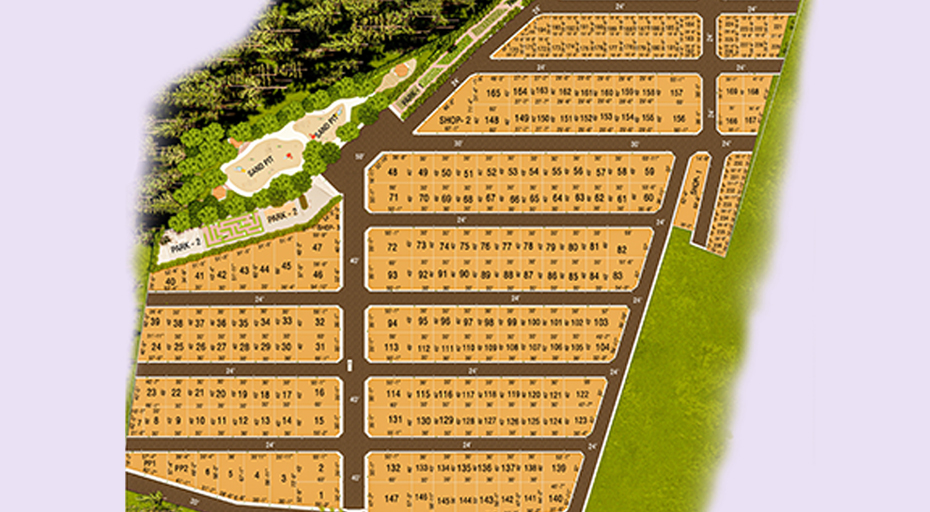 AVNI Plot Specification 2